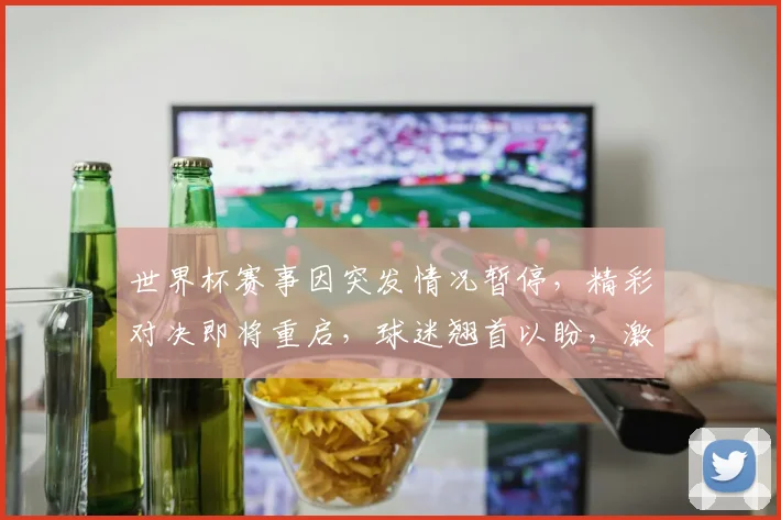 世界杯赛事因突发情况暂停，精彩对决即将重启，球迷翘首以盼，激情碰撞再续佳话。