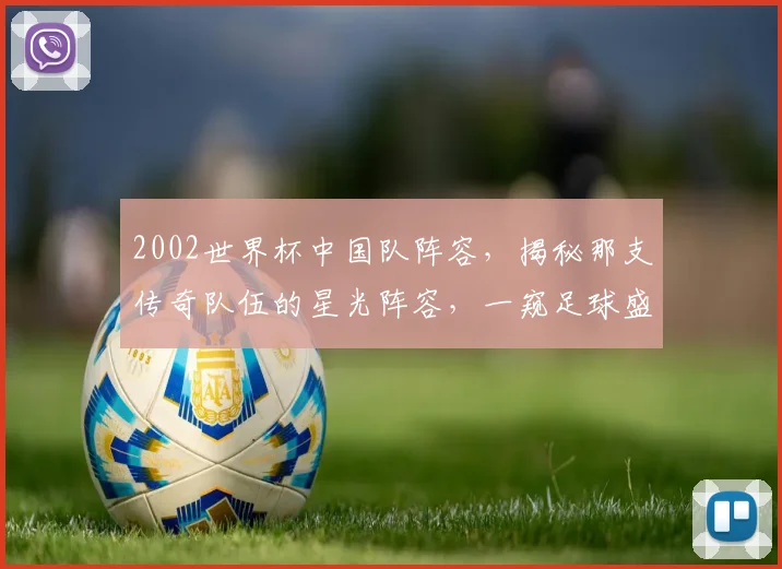 2002世界杯中国队阵容，揭秘那支传奇队伍的星光阵容，一窥足球盛宴