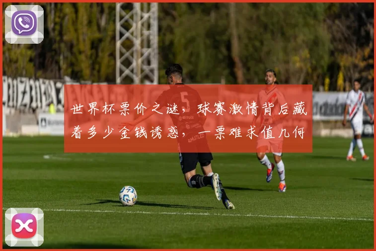 世界杯票价之谜，球赛激情背后藏着多少金钱诱惑，一票难求值几何