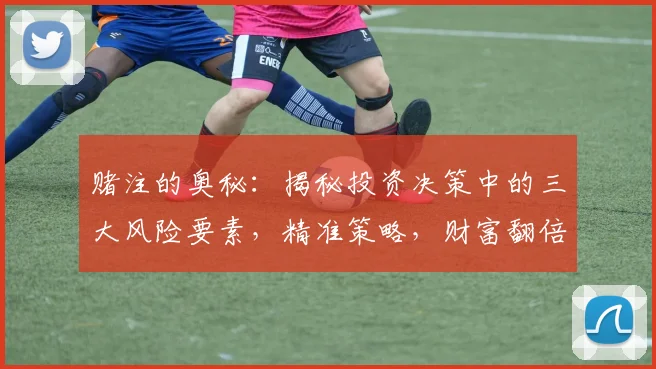 赌注的奥秘：揭秘投资决策中的三大风险要素，精准策略，财富翻倍