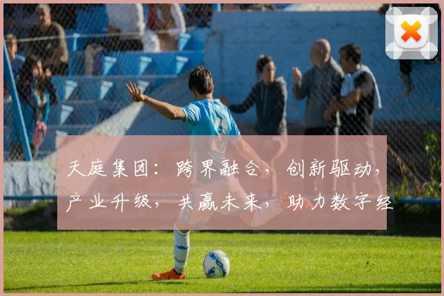 天庭集团：跨界融合，创新驱动，产业升级，共赢未来，助力数字经济新篇章
