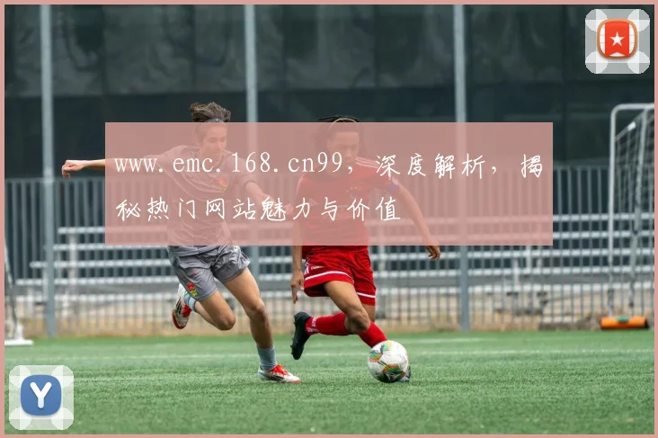 www.emc.168.cn99，深度解析，揭秘热门网站魅力与价值