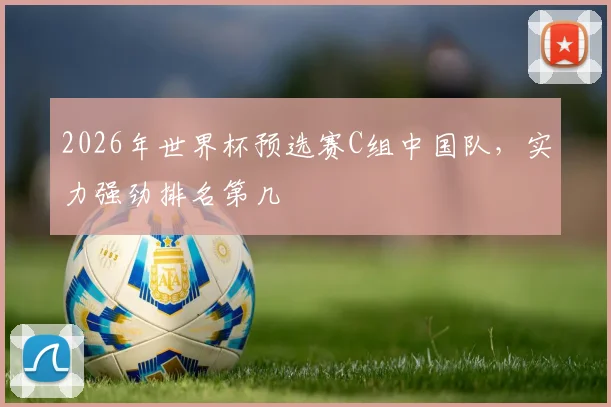 2026年世界杯预选赛C组中国队，实力强劲排名第几