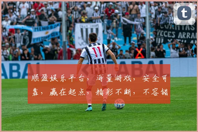 顺盈娱乐平台，海量游戏，安全可靠，赢在起点，精彩不断，不容错过
